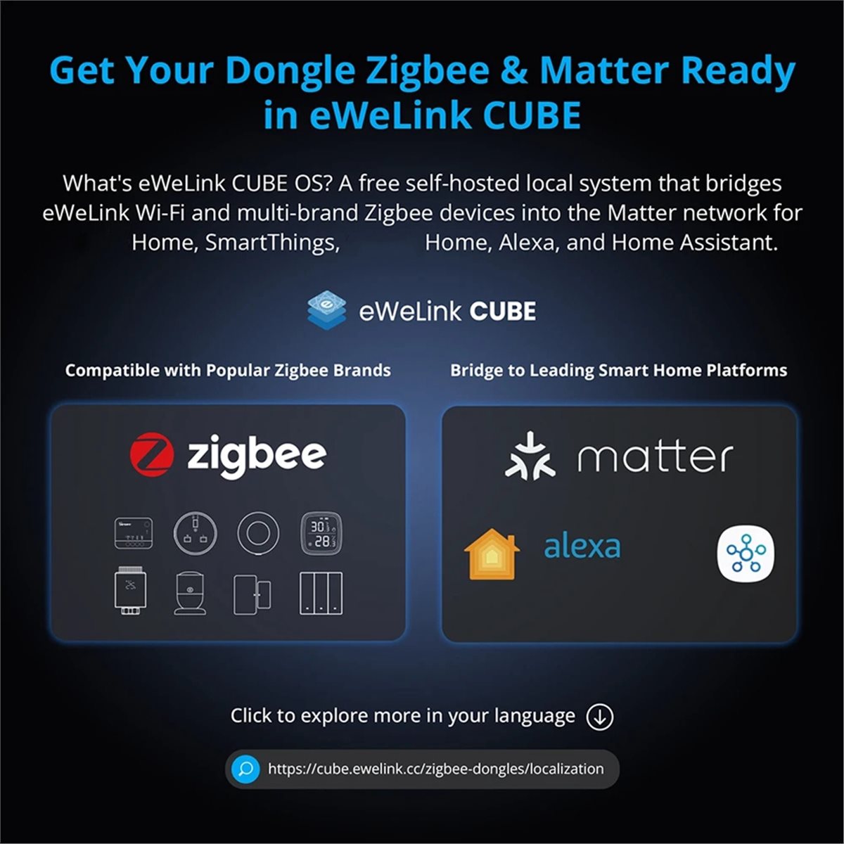 Dongle Plus MG24 Zigbee Thread - Smart Home Plus reseña y precio